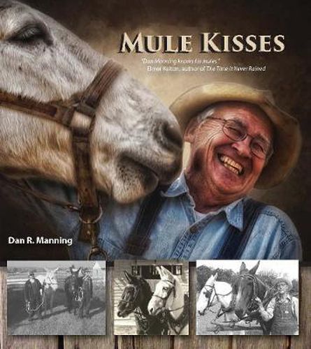 Cover image for Mule Kisses
