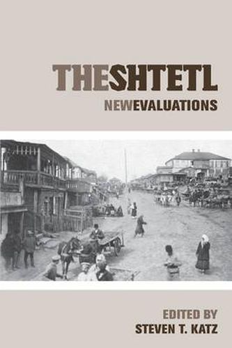 Cover image for The Shtetl: New Evaluations