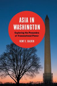 Cover image for Asia in Washington: Exploring the Penumbra of Transnational Power