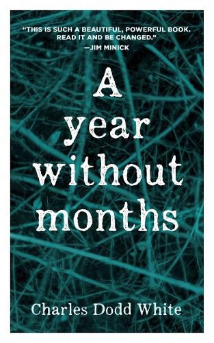Cover image for A Year without Months