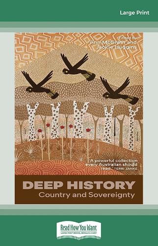 Cover image for Deep History
