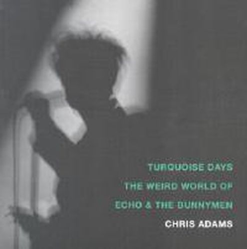 Turquoise Days: The Weird World of Echo and the Bunnymen