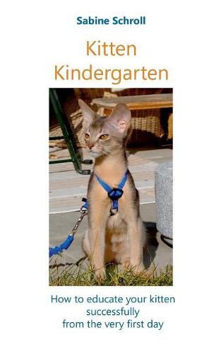 Cover image for Kitten Kindergarten: How to educate your kitten successfully from the very first day