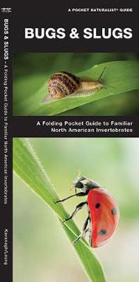 Cover image for Bugs & Slugs: A Folding Pocket Guide to Familiar North American Invertebrates