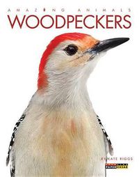 Cover image for Woodpeckers