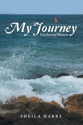 Cover image for My Journey: Uncharted Waters