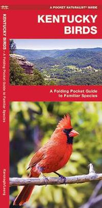 Cover image for Kentucky Birds: A Folding Pocket Guide to Familiar Species