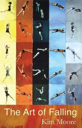 Cover image for The Art of Falling