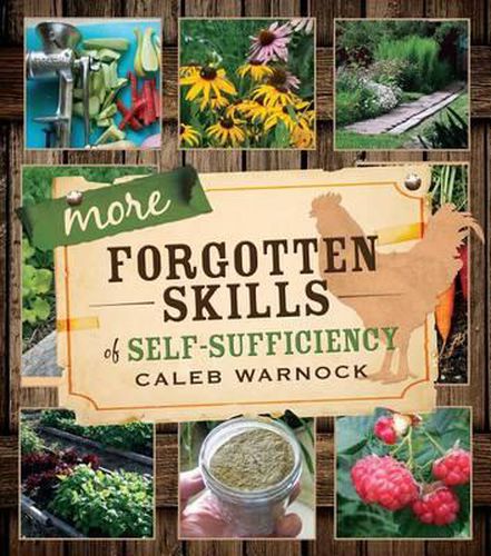 Cover image for More Forgotten Skills of Self-Sufficiency