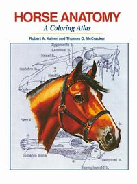 Cover image for Horse Anatomy: A Coloring Atlas