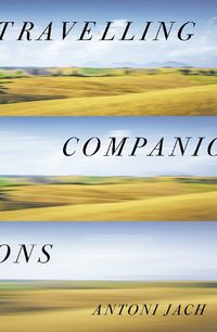 Cover image for Travelling Companions