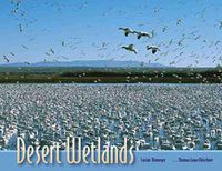 Cover image for Desert Wetlands