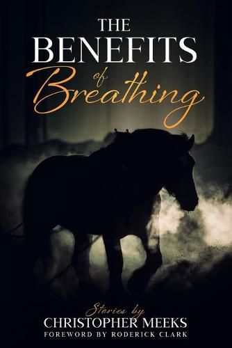 Cover image for The Benefits of Breathing: and Other Stories