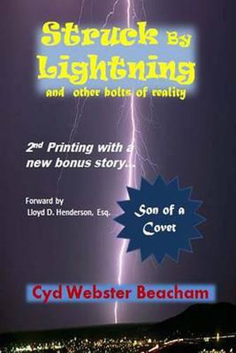 Cover image for Struck by Lightning and other bolts of reality: 2nd printing with bonus story - Son of a Covet