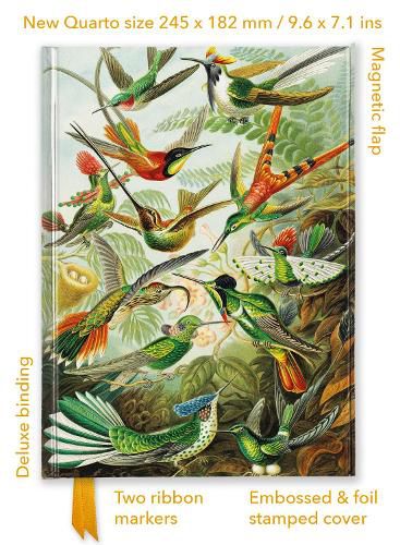 Cover image for Ernst Haeckel: Hummingbirds (Foiled Quarto Journal)