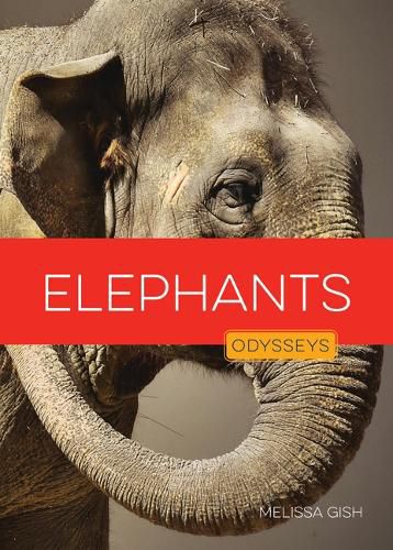 Cover image for Elephants