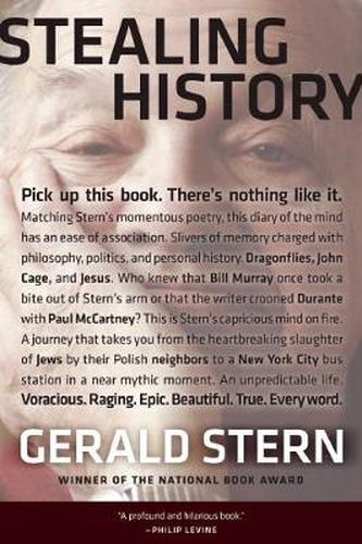 Cover image for Stealing History