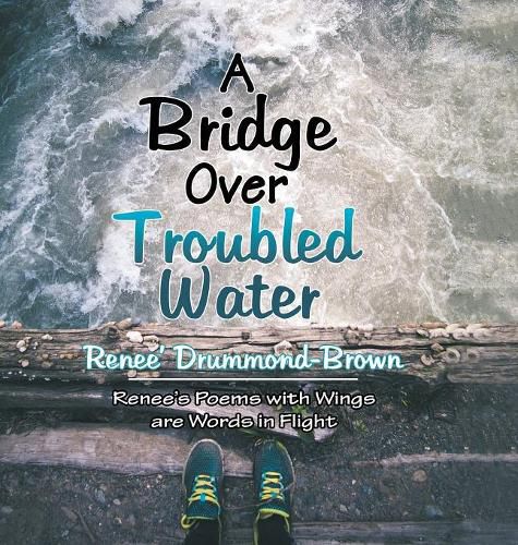 Cover image for A Bridge over Troubled Water