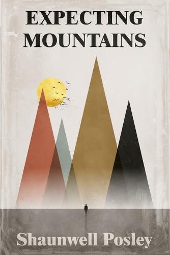 Cover image for Expecting Mountains: Overcoming the Overwhelming Lows in Life