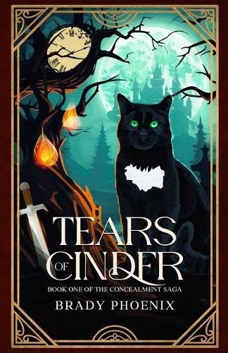 Cover image for Tears of Cinder