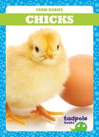 Cover image for Chicks