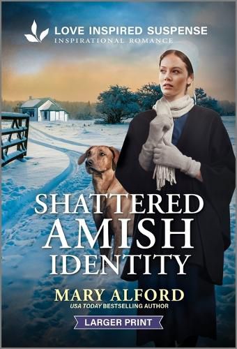 Cover image for Shattered Amish Identity