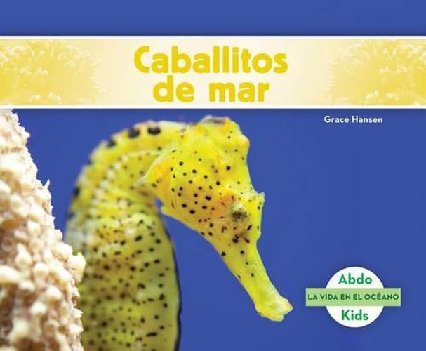 Cover image for Caballitos De Mar / Seahorses