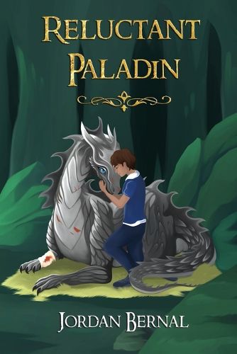 Cover image for Reluctant Paladin