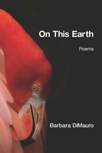 Cover image for On This Earth