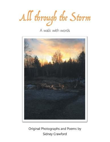 Cover image for All Through the Storm