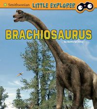 Cover image for Brachiosaurus (Little Paleontologist)