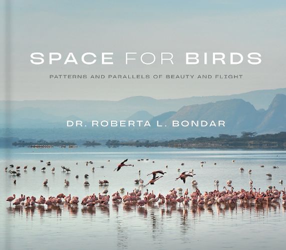 Space for Birds