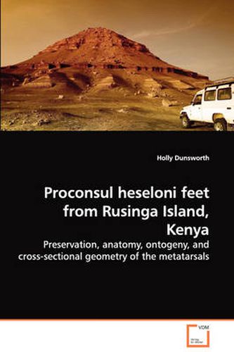 Cover image for Proconsul Heseloni Feet from Rusinga Island, Kenya - Preservation, Anatomy, Ontogeny, and Cross-sectional Geometry of the Metatarsals