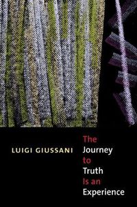 Cover image for The Journey to Truth is an Experience