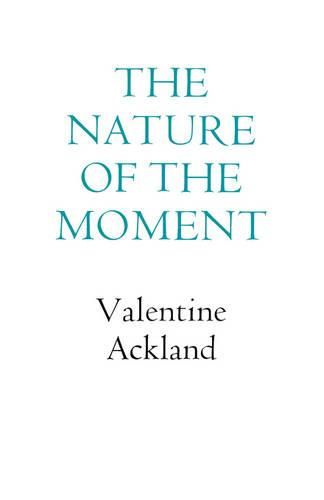 Cover image for The Nature of the Moment