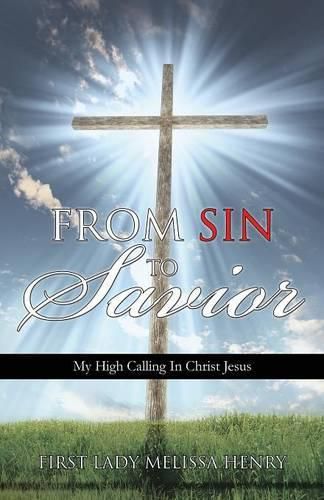 Cover image for From Sin to Savior