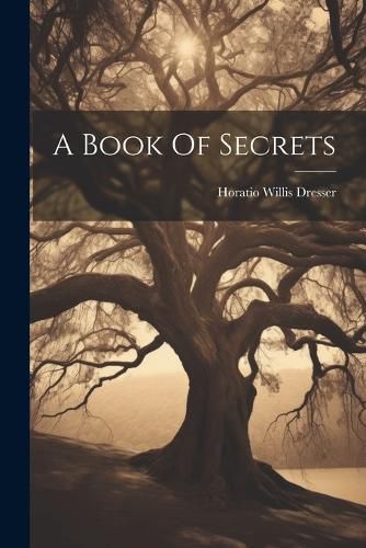 Cover image for A Book Of Secrets