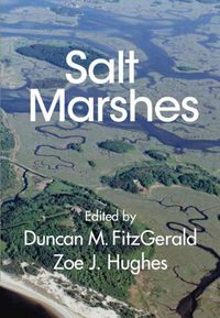 Cover image for Salt Marshes: Function, Dynamics, and Stresses