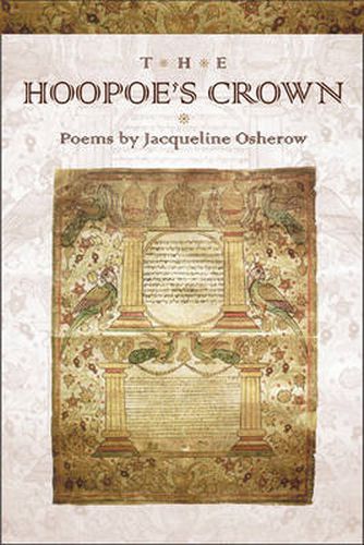 Hoopoe's Crown