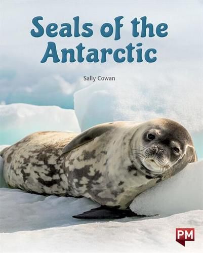 Seals of the Antarctic