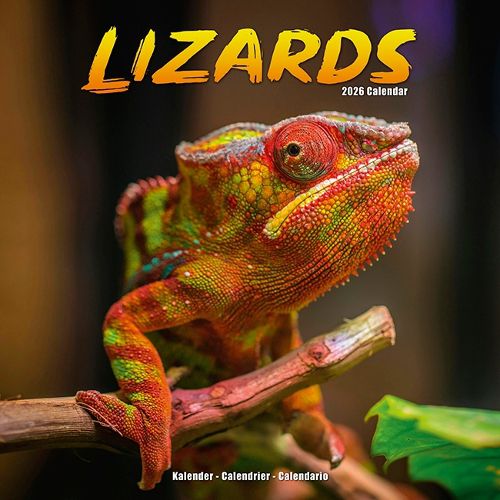 Cover image for Lizards Calendar 2026 Square Animal Wall Calendar - 16 Month