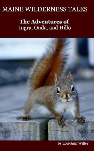 Cover image for Maine Wilderness Tales