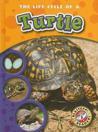 Cover image for The Life Cycle of a Turtle