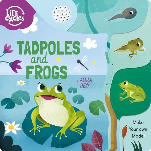 Cover image for Tadpoles and Frogs: Make Your Own Model!