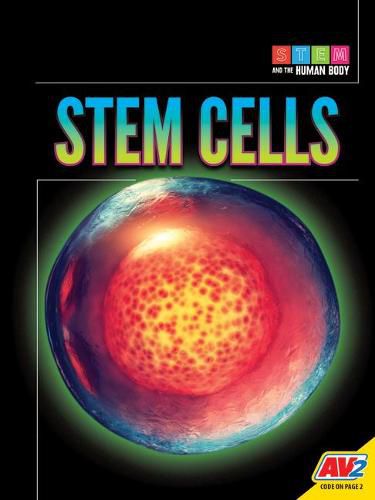 Stem Cells