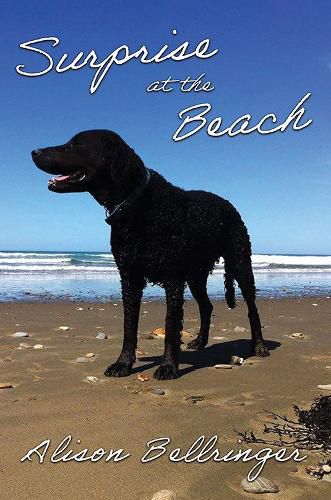 Cover image for Surprise at the Beach