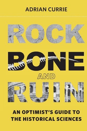 Cover image for Rock, Bone, and Ruin