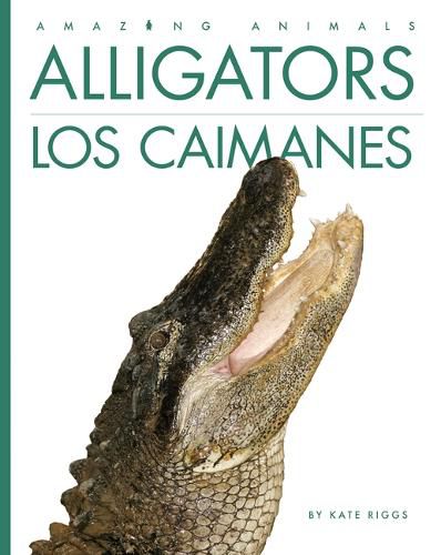 Cover image for Alligators / Los Caimanes