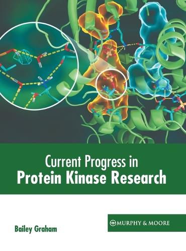 Cover image for Current Progress in Protein Kinase Research