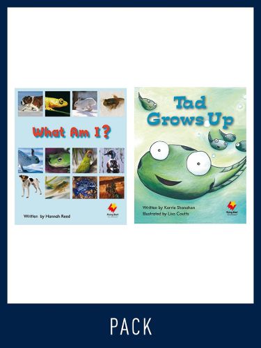 Cover image for Flying Start Guided Reading Pack Level 6, Pack 3: Paired student books (6x6) and lesson plan (1)